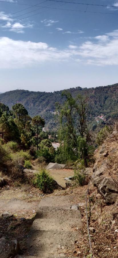 2Bhk Furnished Apartment/Near Kasauli/Barog/Luv Fun & Adventure Solan Eksteriør bilde