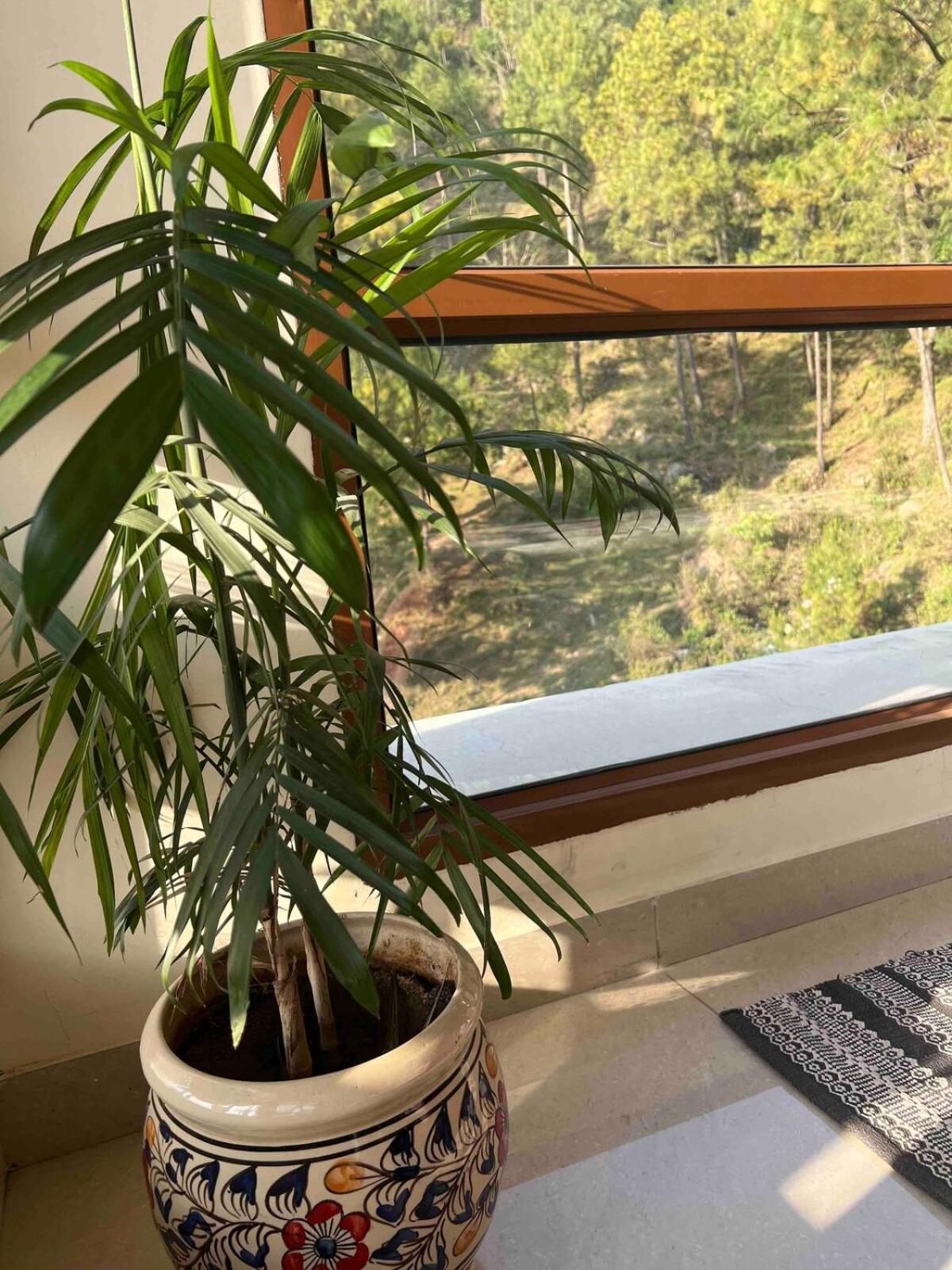 2Bhk Furnished Apartment/Near Kasauli/Barog/Luv Fun & Adventure Solan Eksteriør bilde