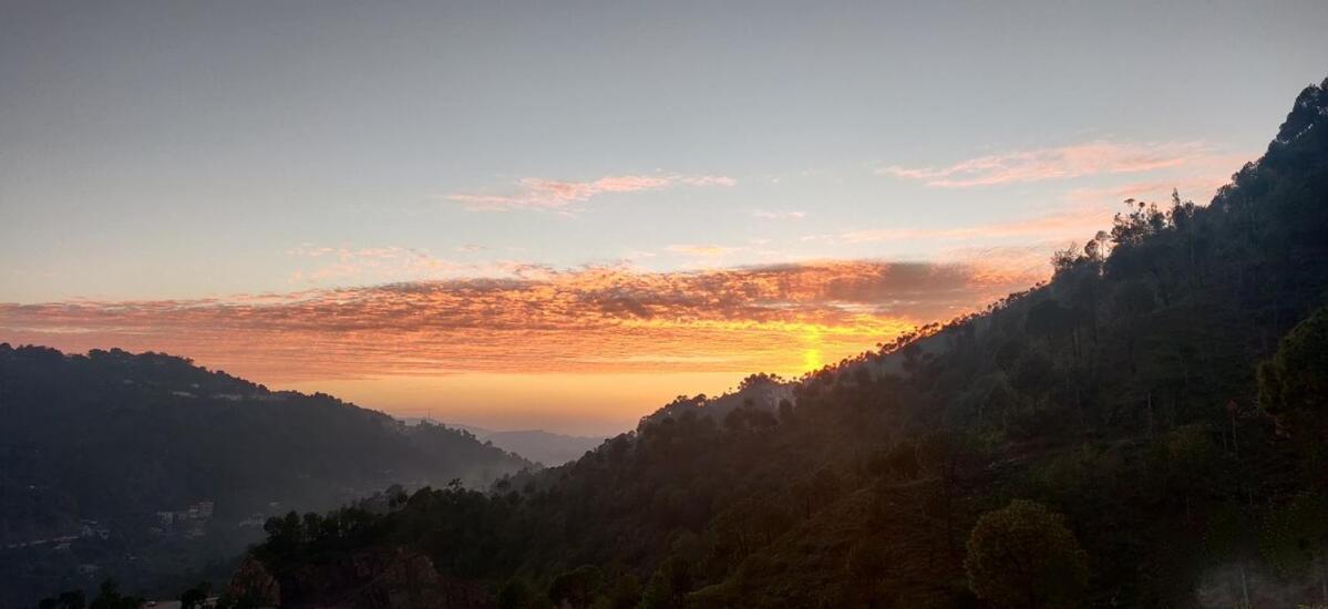 2Bhk Furnished Apartment/Near Kasauli/Barog/Luv Fun & Adventure Solan Eksteriør bilde
