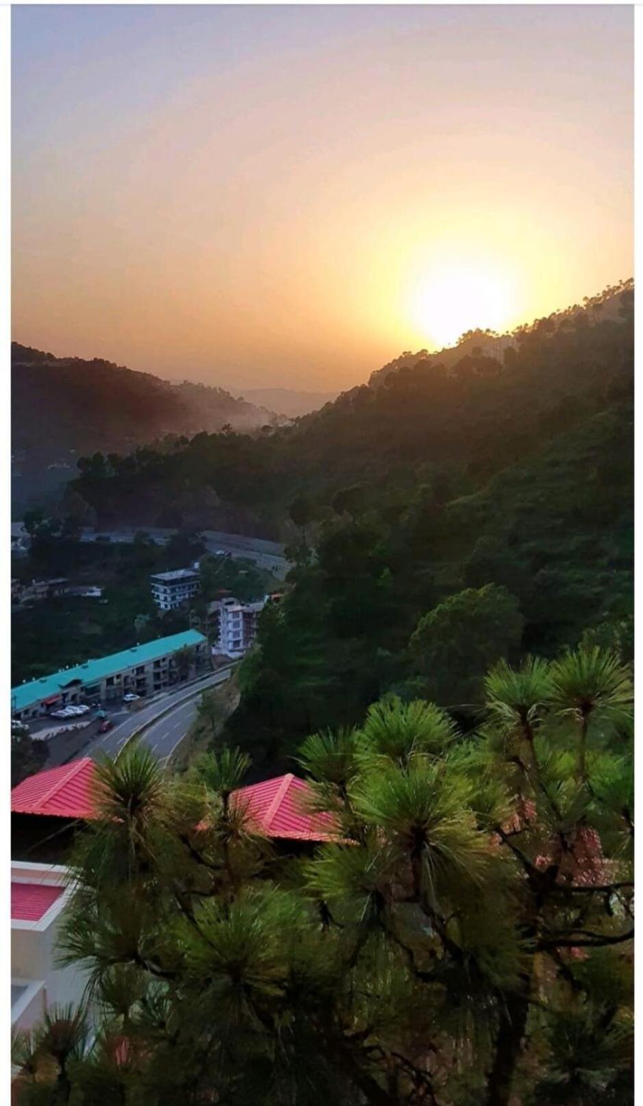 2Bhk Furnished Apartment/Near Kasauli/Barog/Luv Fun & Adventure Solan Eksteriør bilde