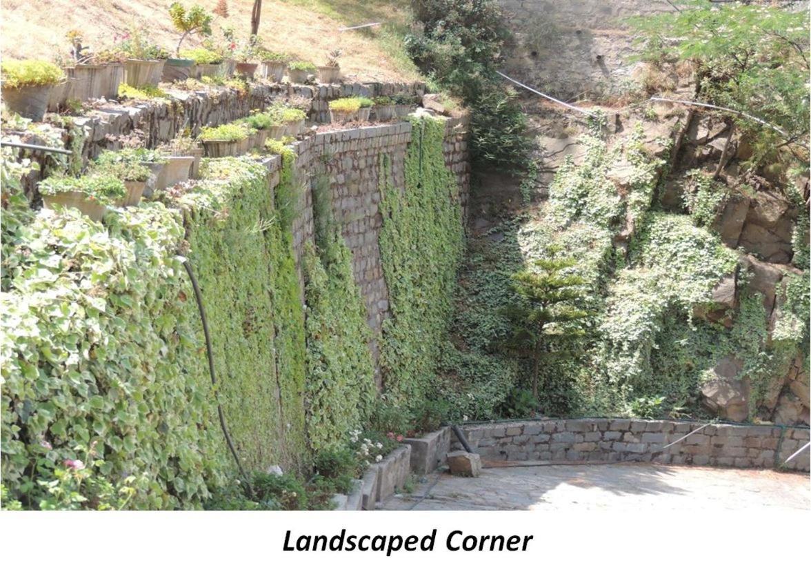 2Bhk Furnished Apartment/Near Kasauli/Barog/Luv Fun & Adventure Solan Eksteriør bilde